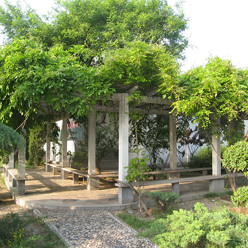 最美校園