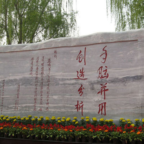 我的大學