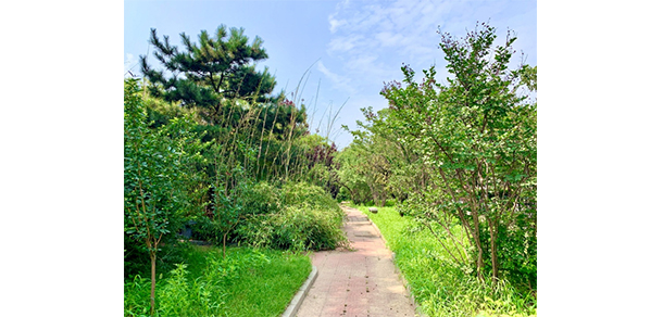 北京藝術傳媒職業(yè)學院 - 最美大學