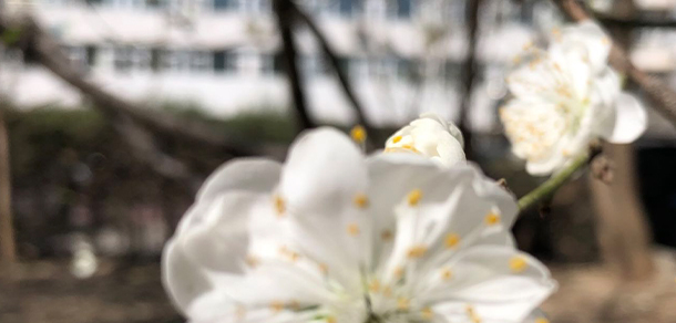 2021年招生分?jǐn)?shù)