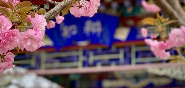 2021年招生計(jì)劃