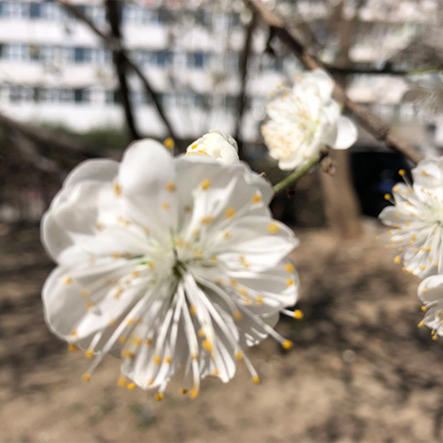 我的大學