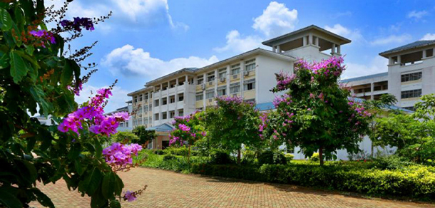 我的大學(xué)-大學(xué)志