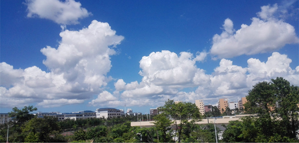 我的大學(xué)-大學(xué)志