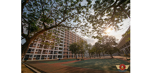 我的大學(xué)-大學(xué)志