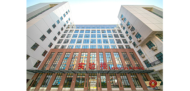 我的大學(xué)-大學(xué)志