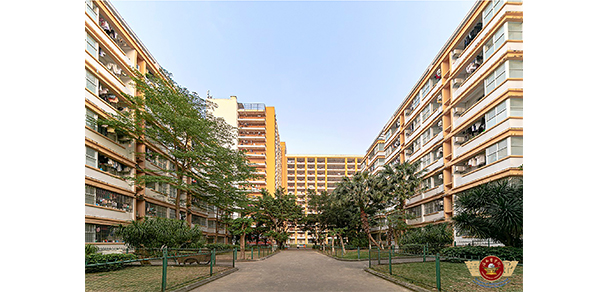 我的大學(xué)-大學(xué)志