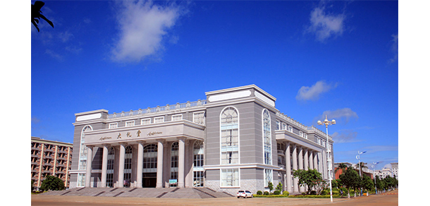 我的大學(xué)-大學(xué)志
