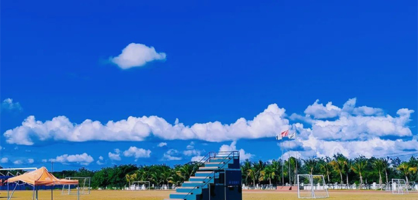 我的大學(xué)-大學(xué)志