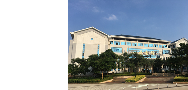 我的大學(xué)-大學(xué)志