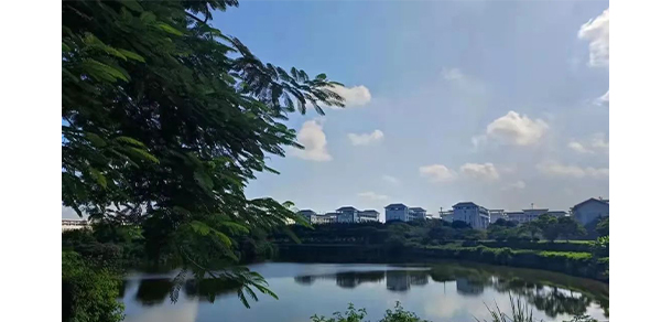 我的大學(xué)-大學(xué)志