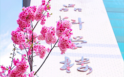 招生公告 · 招生簡章 · 招生計劃