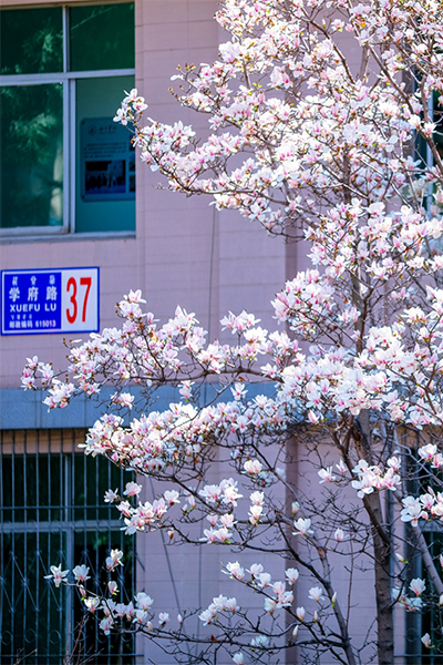 歲月流金 · 青春不散場(chǎng)