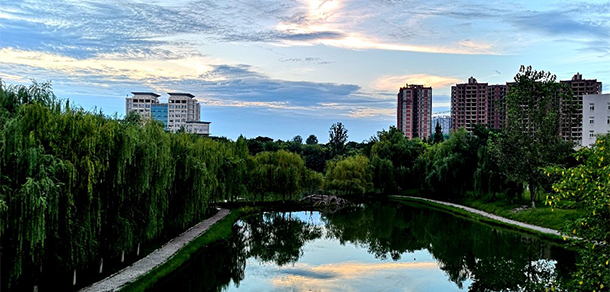 我的大學-大學志