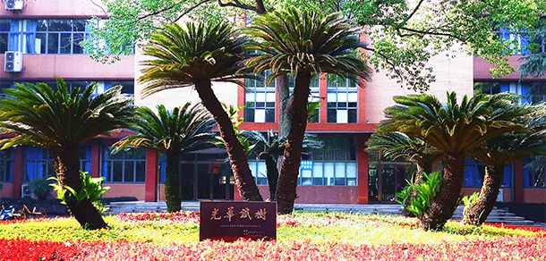 我的大學(xué)-大學(xué)志