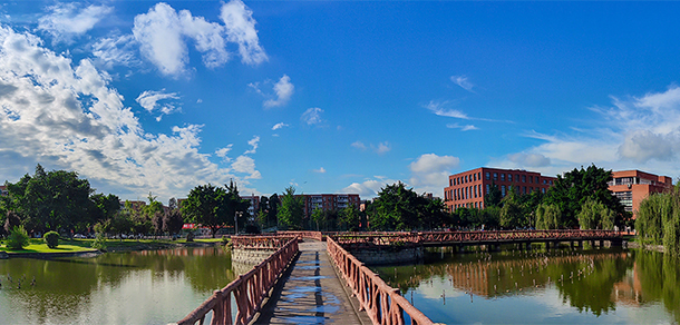 我的大學(xué)-大學(xué)志