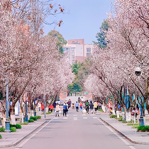 西南民族大學(xué)-流金歲月