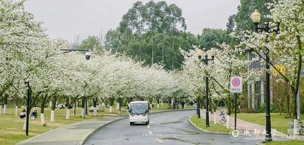 我的大學(xué)-大學(xué)志