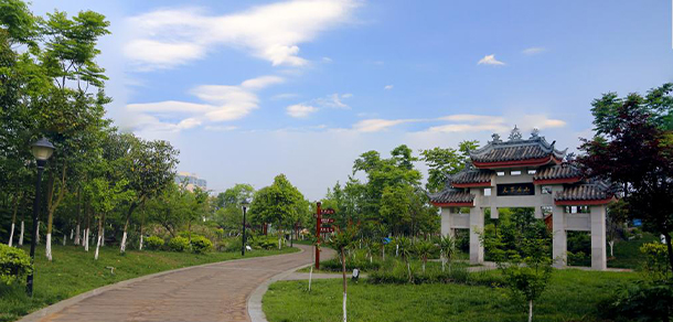 我的大學(xué)-大學(xué)志