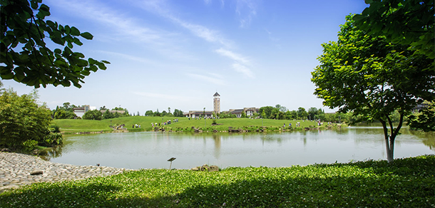 成都東軟學院 - 最美大學