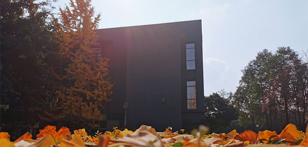 成都東軟學院 - 最美大學