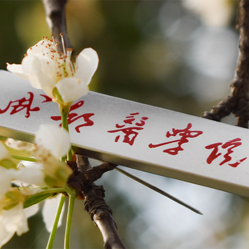 青春 · 不散場(chǎng)