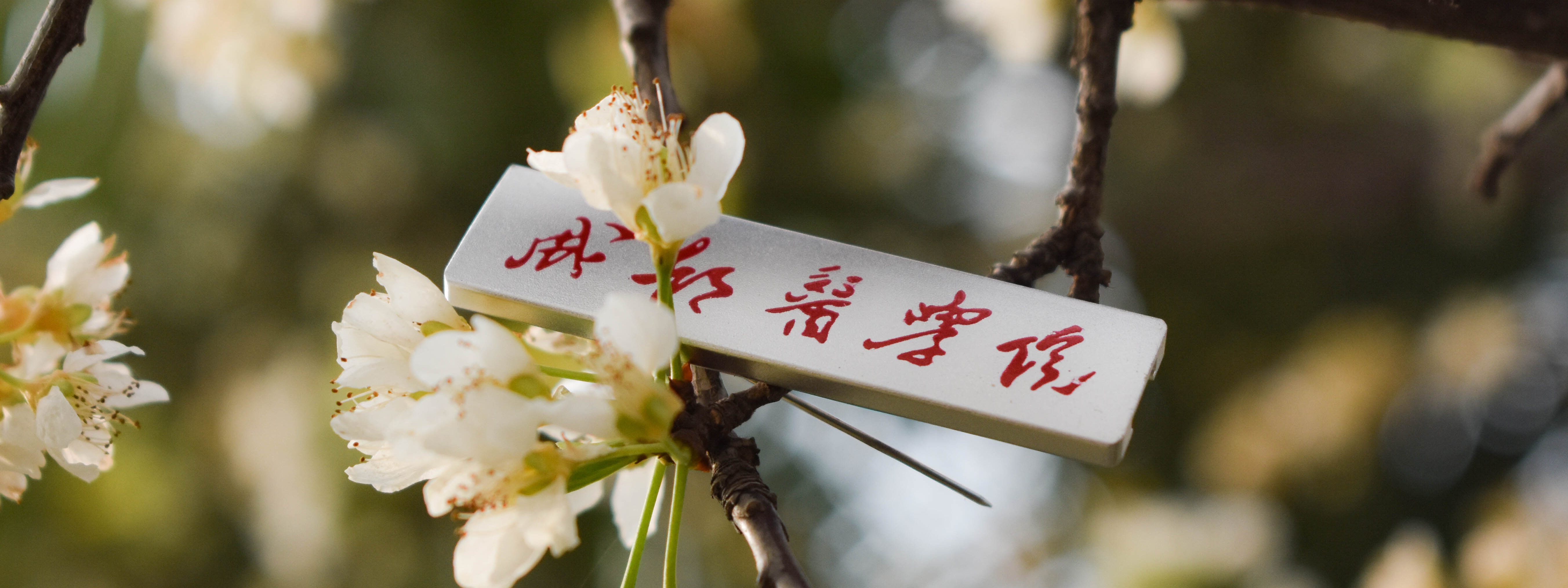 成都醫(yī)學(xué)院 我的大學(xué)