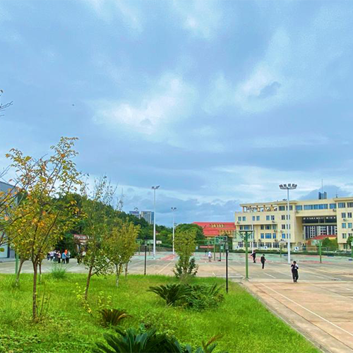 我的大學(xué)