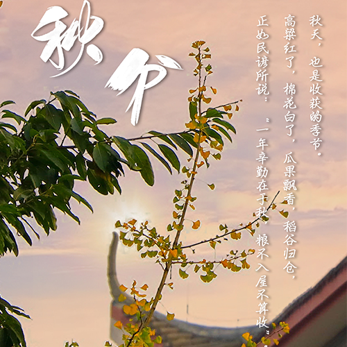 我的大學(xué)