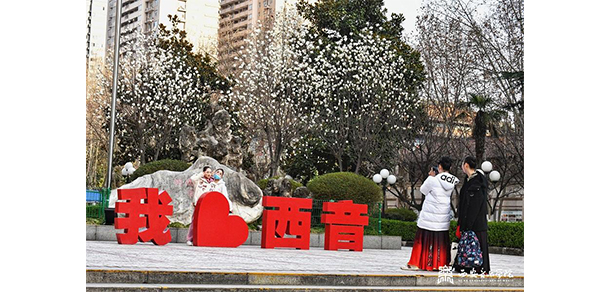 我的大學-大學志