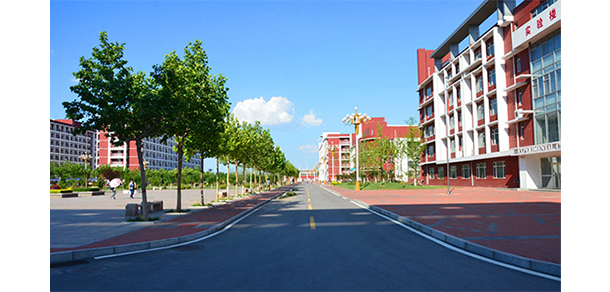 天津醫(yī)科大學臨床醫(yī)學院 - 最美大學