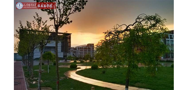 天津醫(yī)科大學臨床醫(yī)學院 - 最美大學