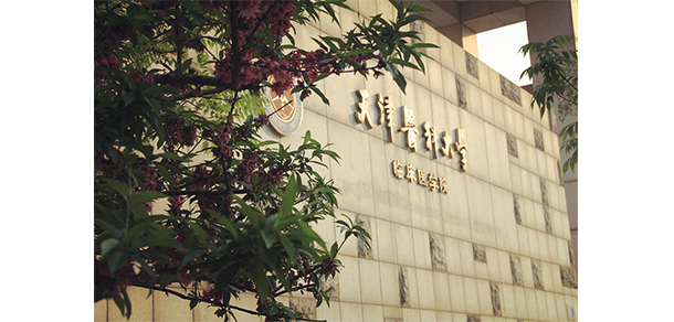 天津醫(yī)科大學臨床醫(yī)學院 - 最美大學