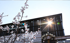 天津醫(yī)科大學臨床醫(yī)學院 - 我的大學