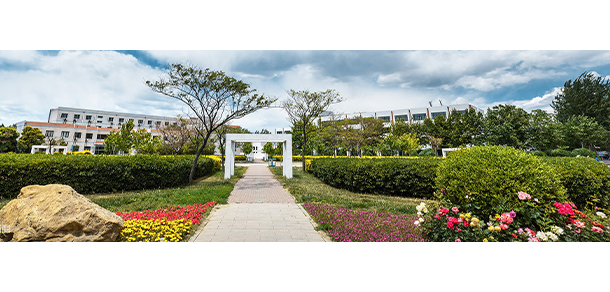 我的大學(xué)-大學(xué)志