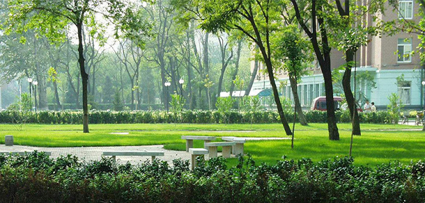 我的大學(xué)-大學(xué)志