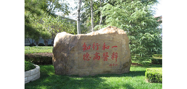 我的大學(xué)-大學(xué)志