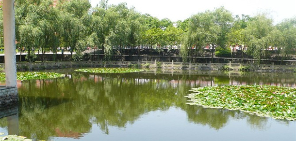 我的大學-大學志