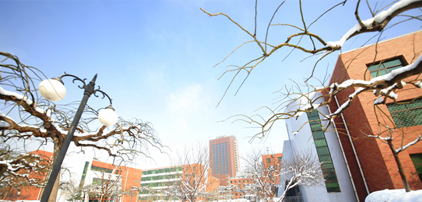 我的大學-大學志