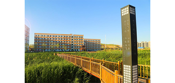 我的大學(xué)-大學(xué)志