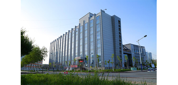 我的大學(xué)-大學(xué)志