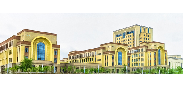我的大學(xué)-大學(xué)志