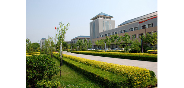 我的大學(xué)-大學(xué)志