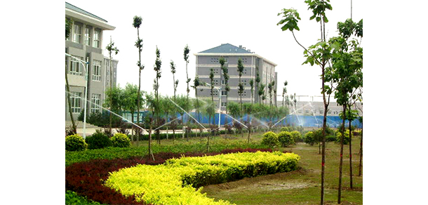 我的大學(xué)-大學(xué)志