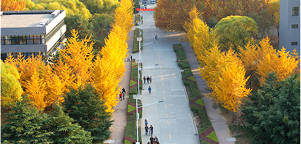 我的大學-大學志