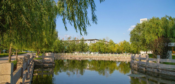 我的大學-大學志