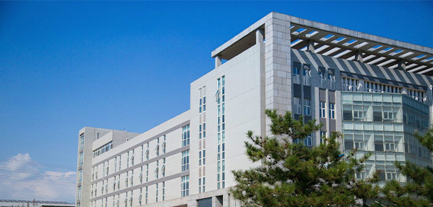 我的大學-大學志