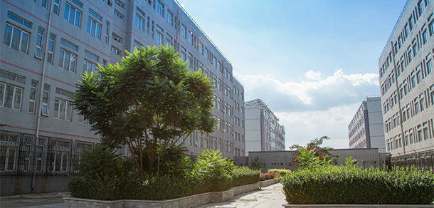 我的大學-大學志