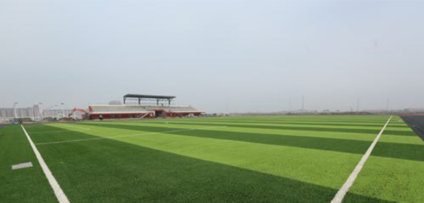 我的大學(xué)-大學(xué)志