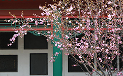 歷史沿革(概)校史